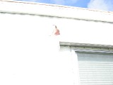 hurricanecharley 037 